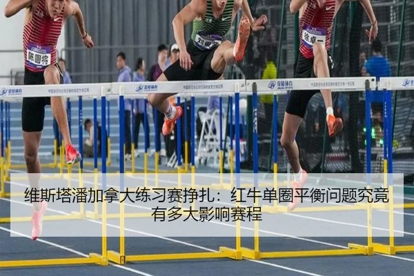 wei-si-ta-pan-jia-na-da-lian-xi-sai-zheng-zha-hong-niu-dan-quan-ping-heng-wen-ti-jiu-jing-you-duo-da-ying-xiang-sai-2-300.jpg